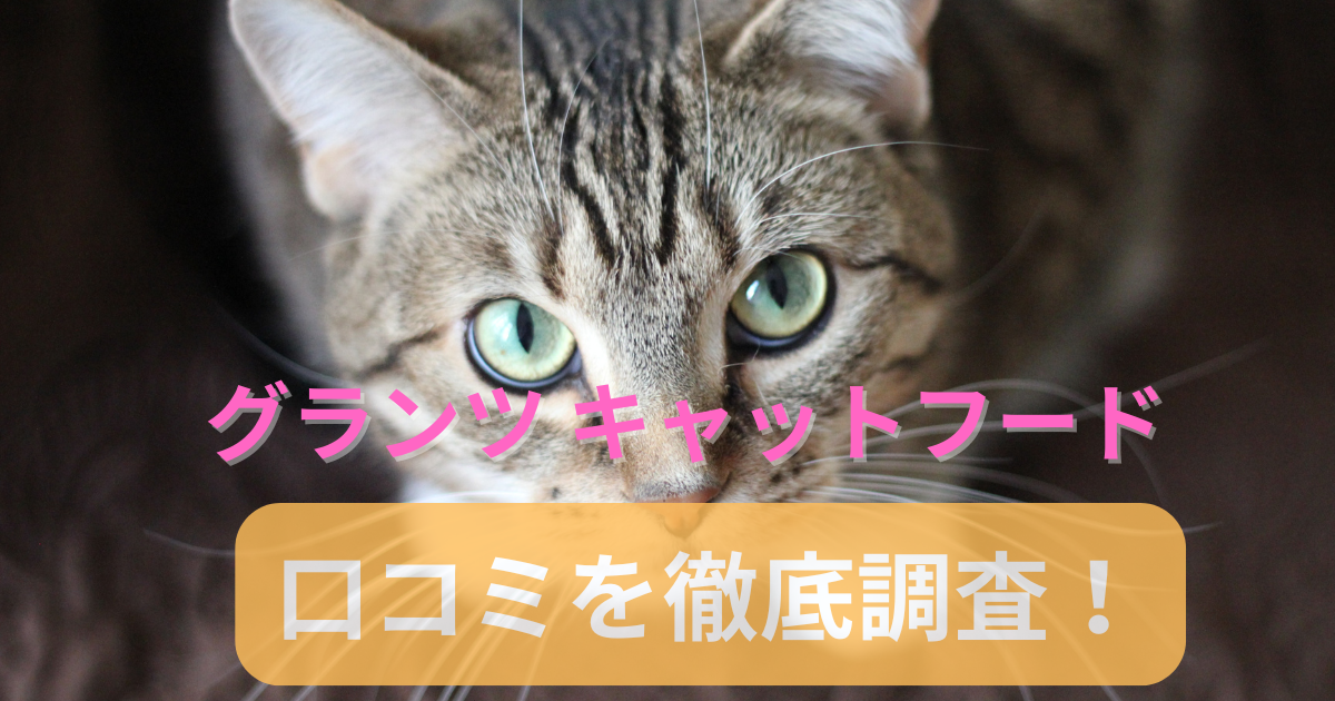 グランツキャットフードの口コミを調査！猫にとって本当に評判が良い？