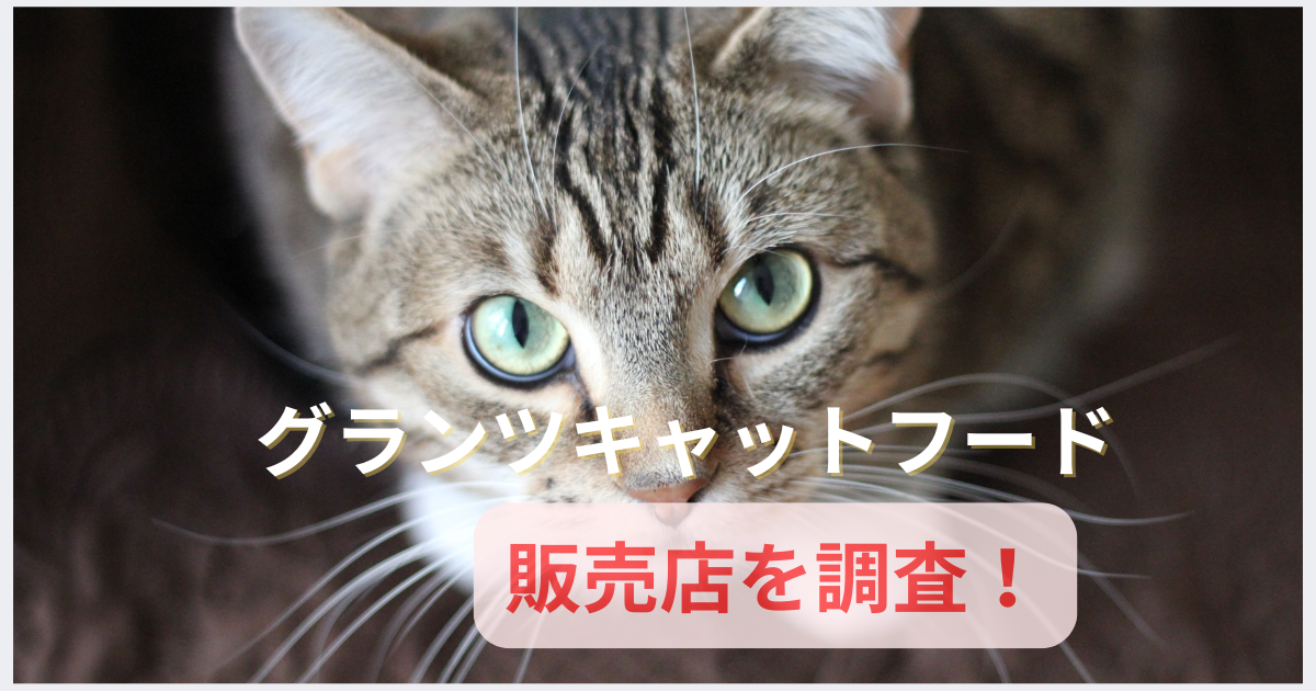 グランツキャットフードの販売店を調査！公式以外どこで売ってる？