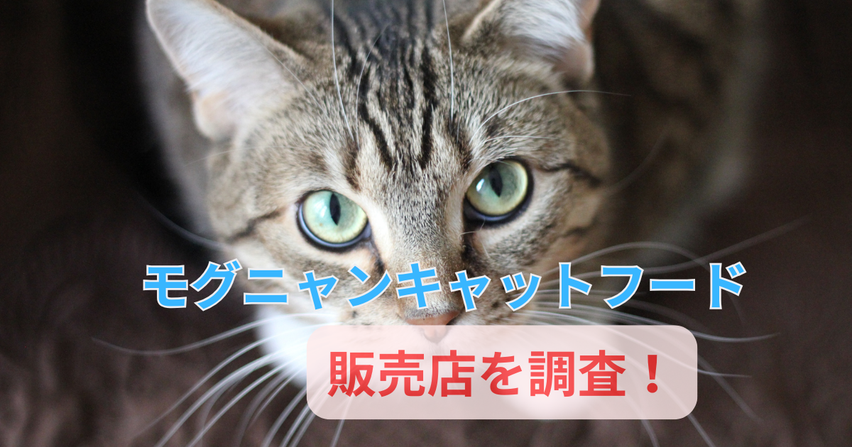 モグニャン キャットフードはどこで売ってる？販売店を徹底調査！